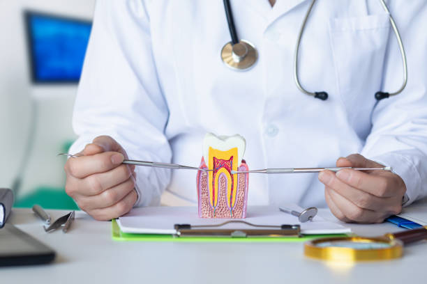 Best Emergency Wisdom Teeth Removal in Valley View, PA